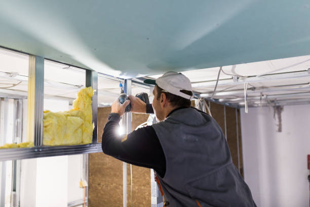 Types of Insulation We Offer in Lihue, HI