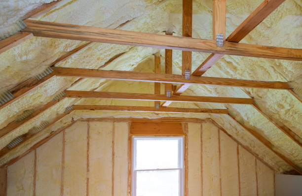 Best Geographic-Specific Insulation Services in Lihue, HI