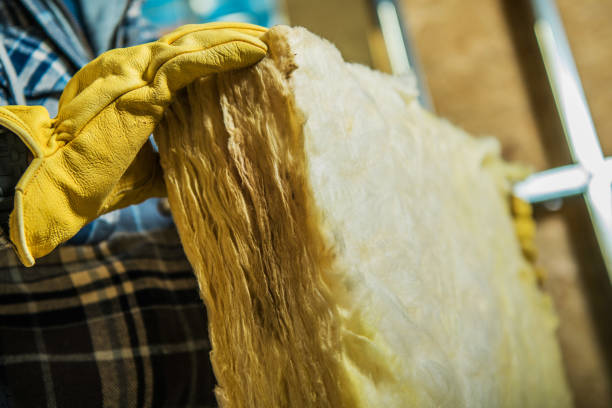 Best DIY Insulation Kits and Guidance in Lihue, HI