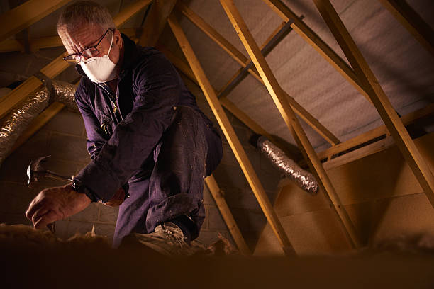 Best DIY Insulation Kits and Guidance in Lihue, HI