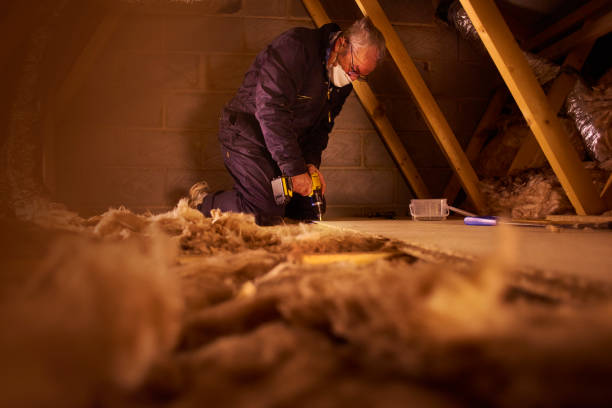 Best Residential Insulation in Lihue, HI